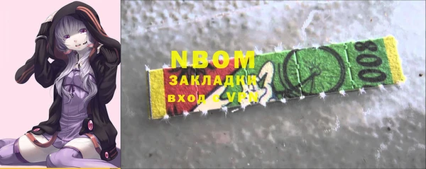 индика Новодвинск