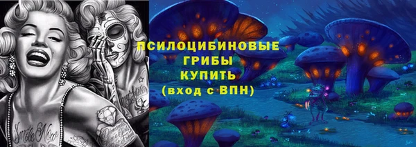 спайс Алексеевка