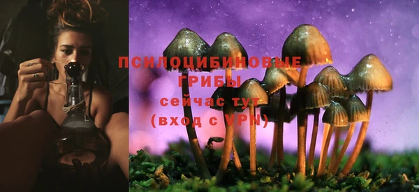спайс Алексеевка