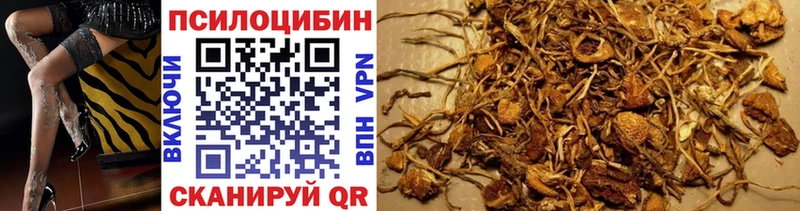 мориарти телеграм  Северская  Галлюциногенные грибы MAGIC MUSHROOMS 